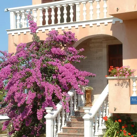 Valerija Privlaka (Zadar)